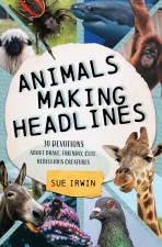 Animals Making Headlines