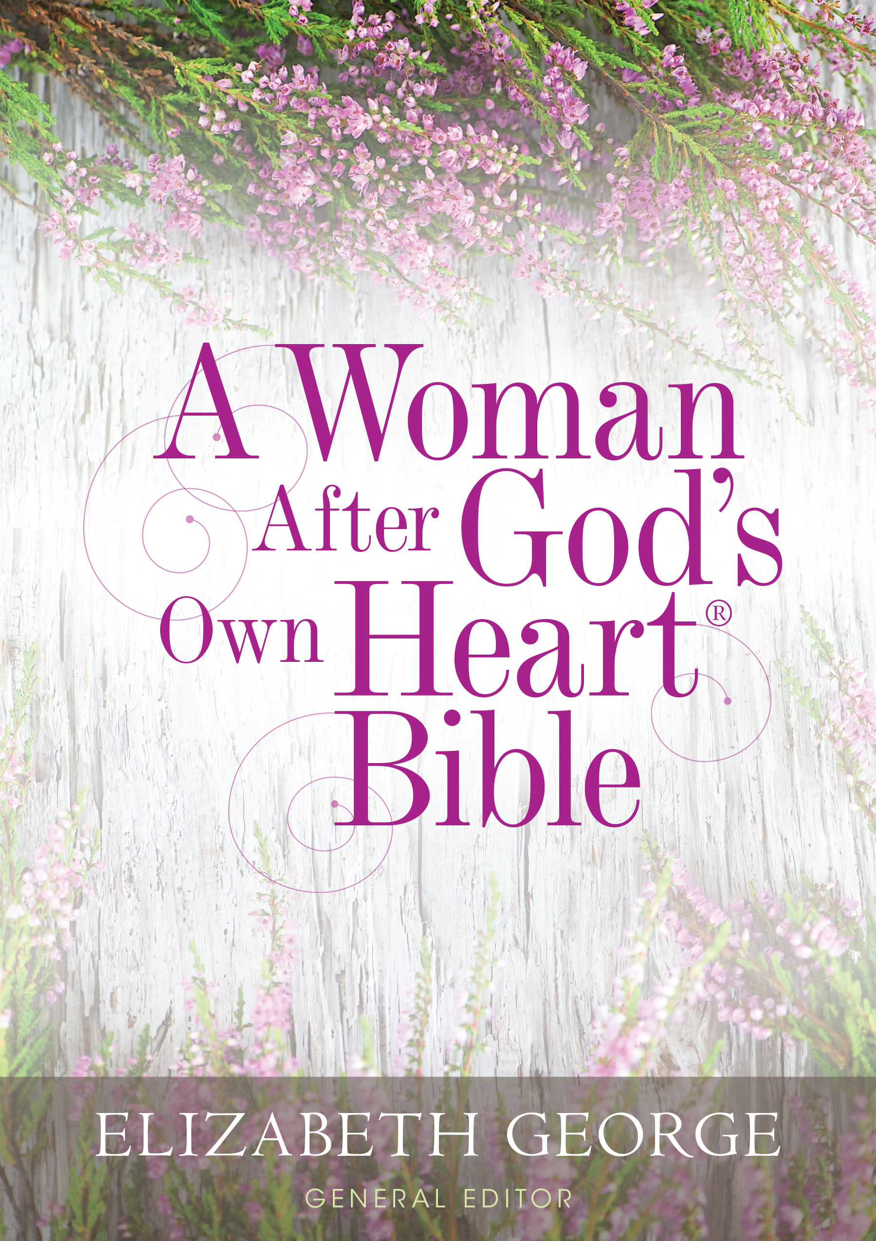 A Woman After God's Own Heart Bible