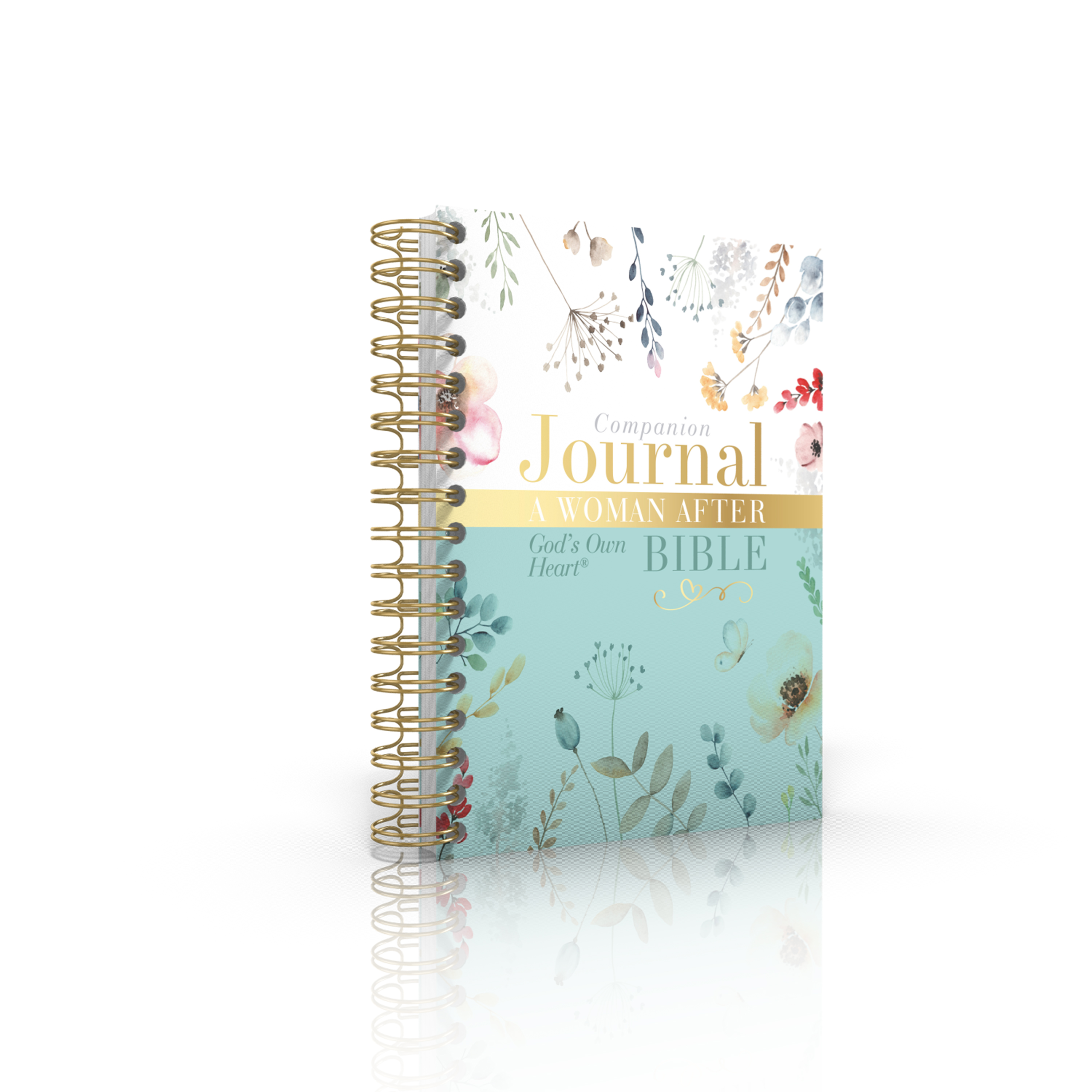 Woman After God's Own Heart Bible Companion Journal