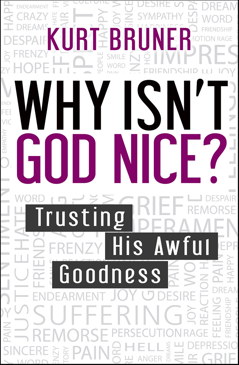 Why Isn't God Nice?