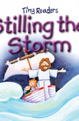 Stilling the Storm